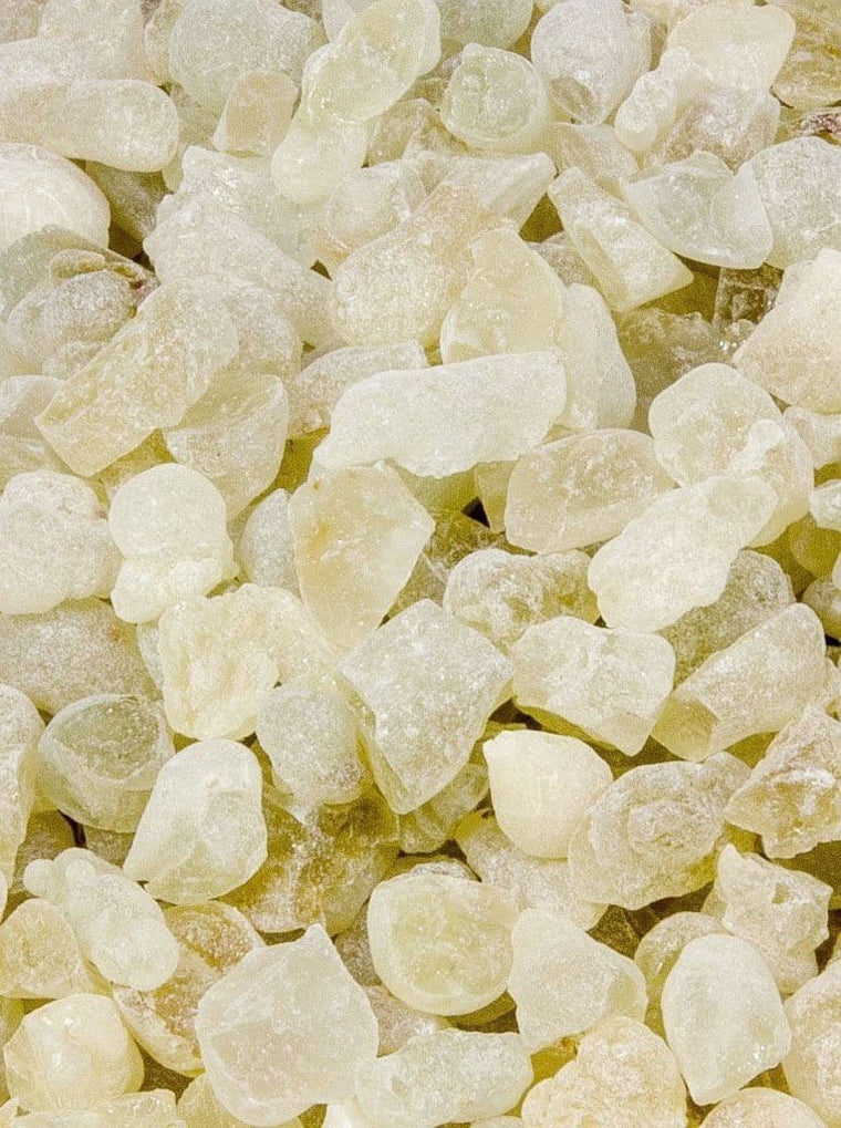 Hermitage Frankincense: Premium White Hojari Frankincense (Boswellia Sacra)