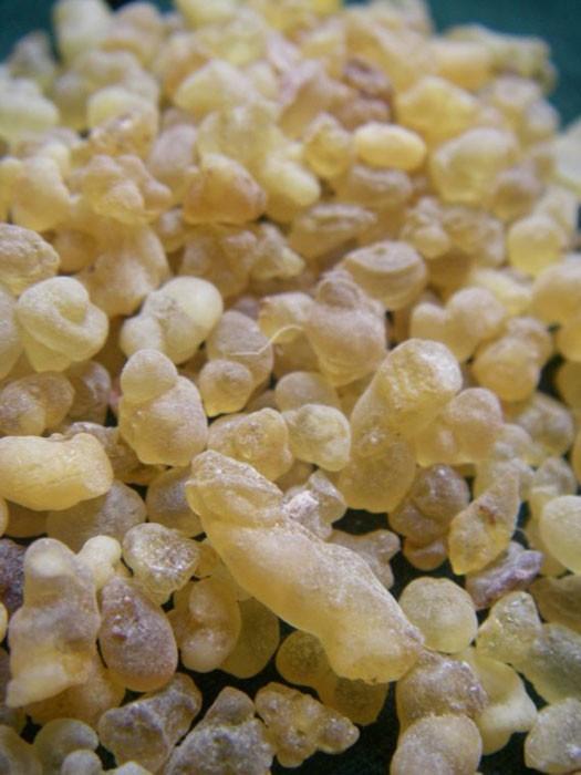 Hermitage Frankincense: Ethiopian (Boswellia Papyrifera, 1 oz)